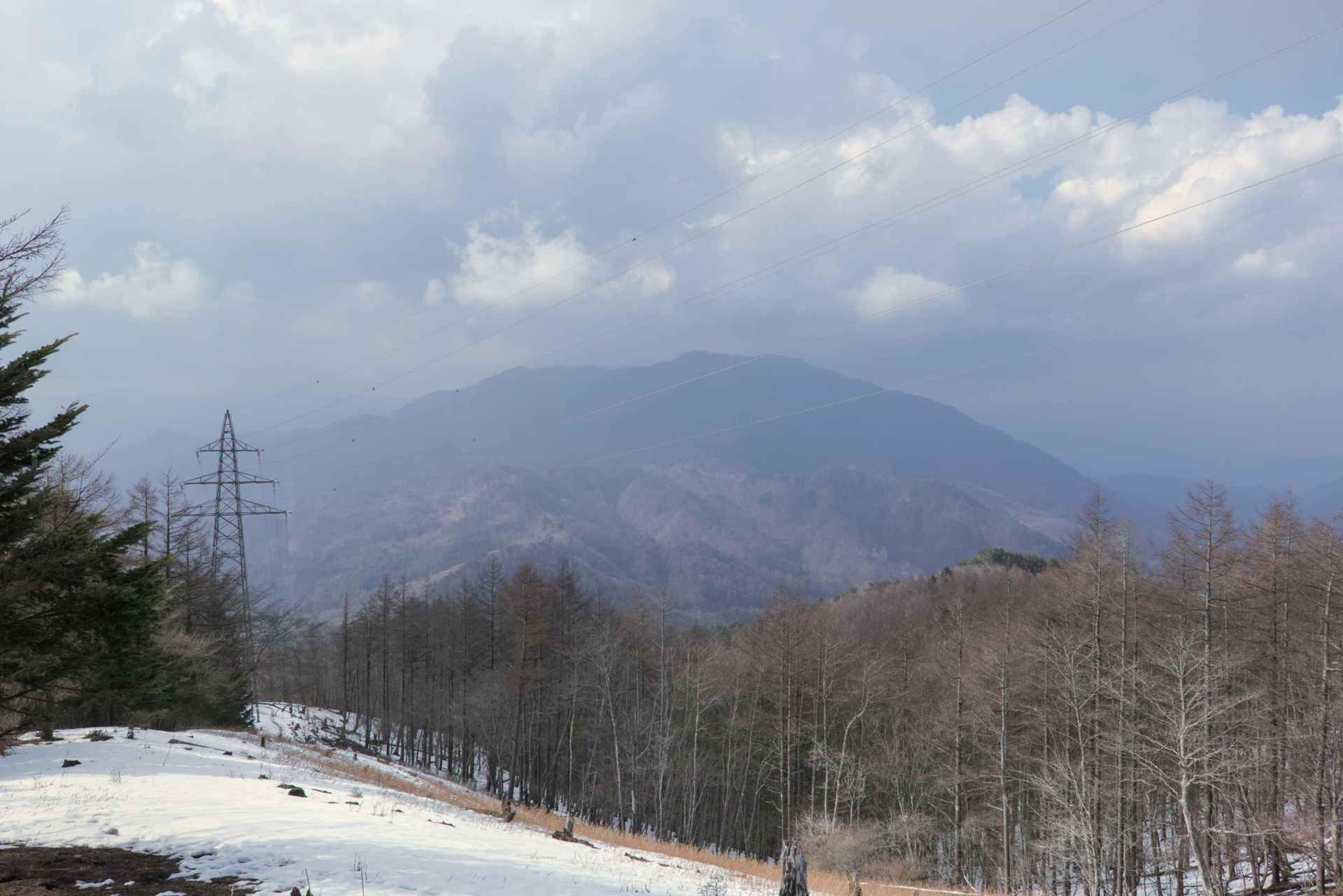 Snowy mountaintop view of a winter forest with another mountain in the distant fog.